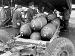 500lb bombs are loaded into a 106 Squadron late production H2S equipped Lancaster B.Mk.1 or Mk.III (ww2images.com A03069)